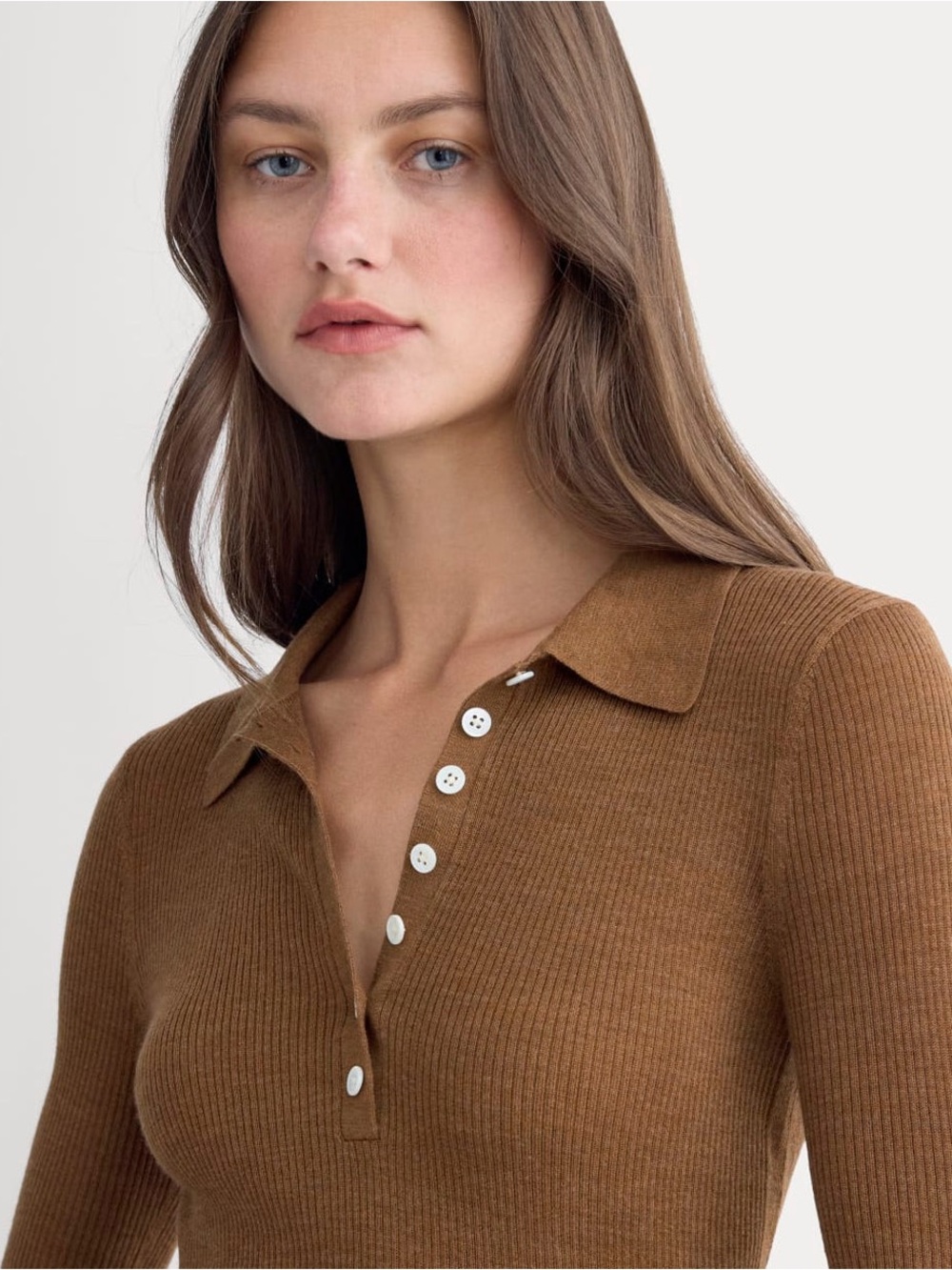 Everlane, Brown Ribbed Polo Sweater, Size S